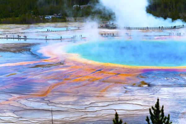 Parts of Yellowstone can look like a Jackson Pollock painting.